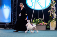 /album/mvp-bratislava-2025/mvp-bratislava-20251025-jutta-005-a-ja-jpg/